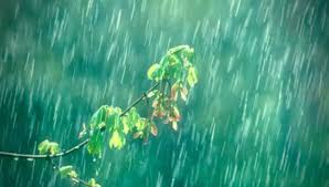 जुलैच्या पहिल्या पंधरवड्यात देशात सरासरीपेक्षा ११% जास्त पाऊस