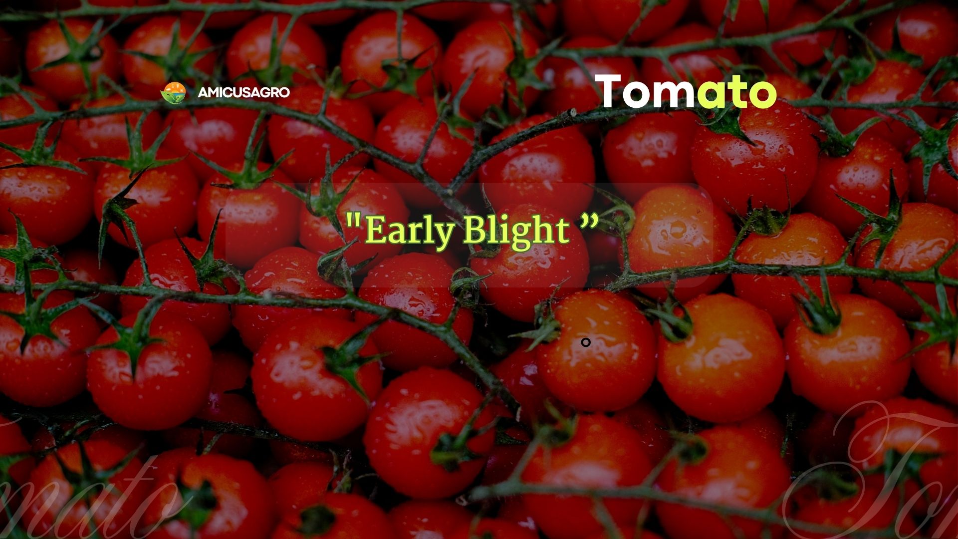 🍂Battling Early Blight: A Gardener’s Guide to Prevention & Nano-Solutions! 🍅